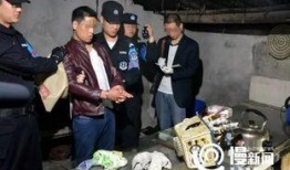 毒贩被抓爆料视频播放下载,揭秘警方抓捕全过程，网友热议下载观看